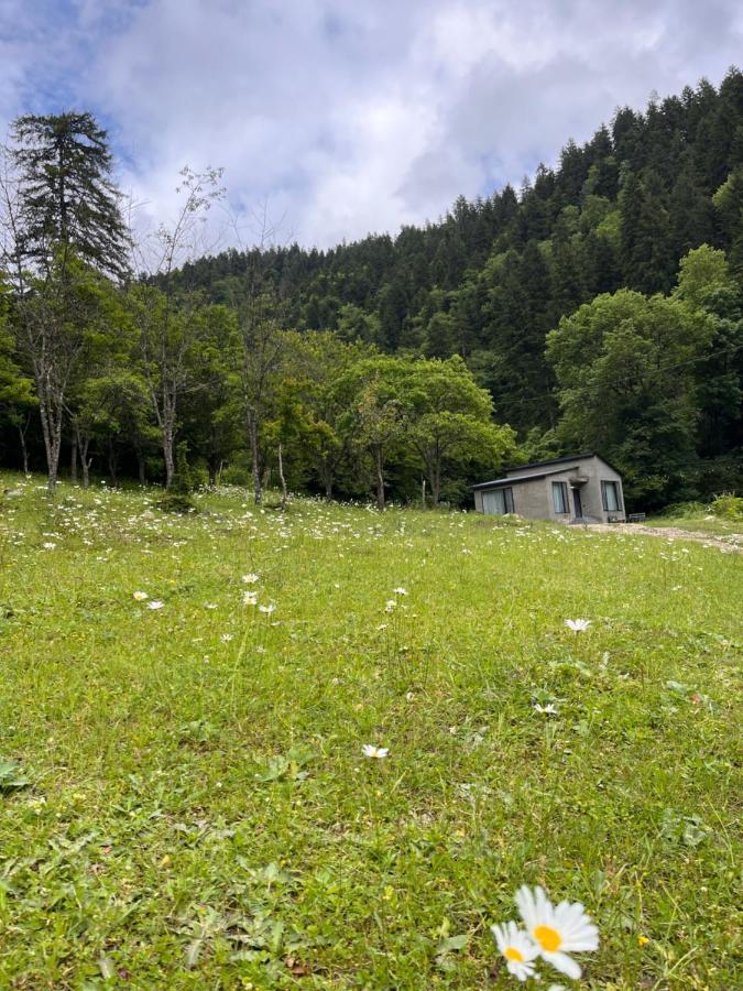 Cozy House In The Forest Боржоми Экстерьер фото