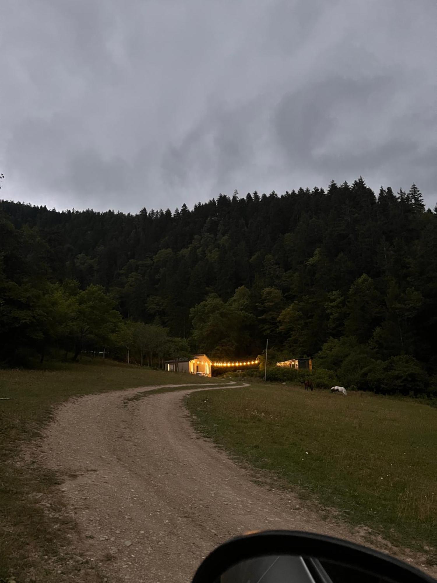 Cozy House In The Forest Боржоми Экстерьер фото