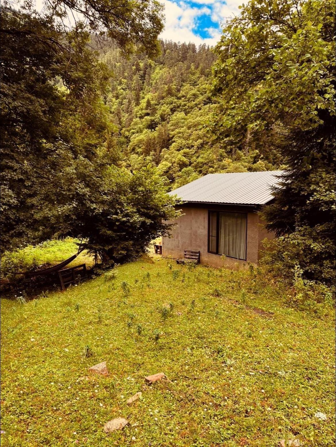 Cozy House In The Forest Боржоми Экстерьер фото